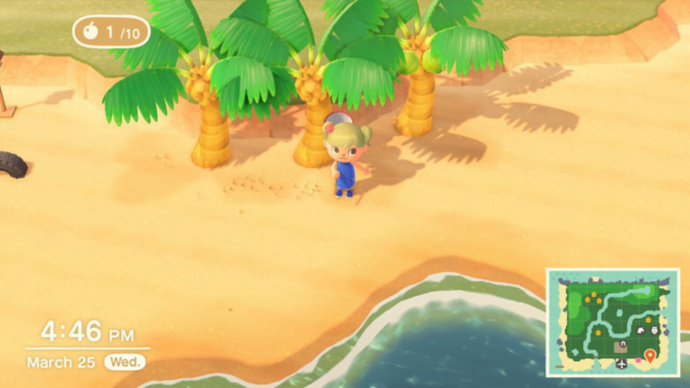 Animal Crossing New Horizons Selling and Floating Gifts